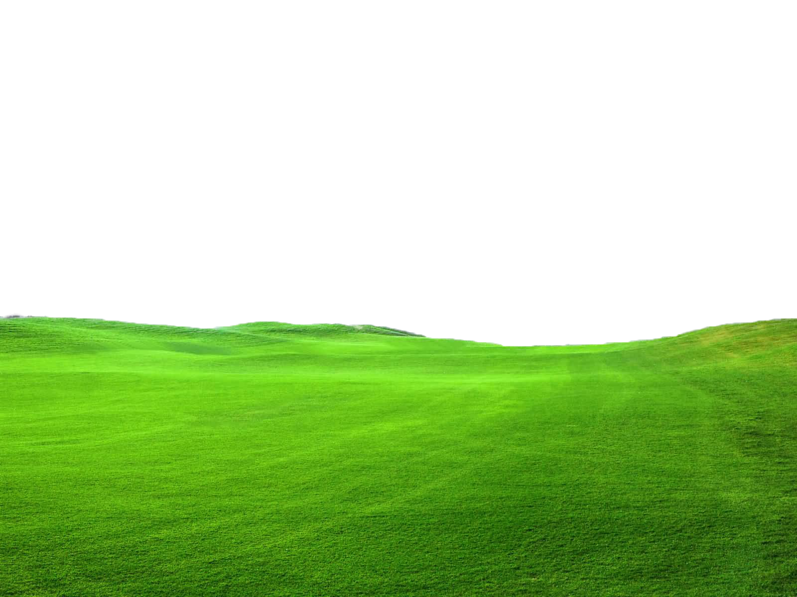 Grüne Graslandschaft